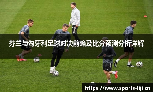 芬兰与匈牙利足球对决前瞻及比分预测分析详解